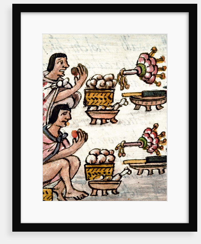 Aztec cuisine by Anonymous