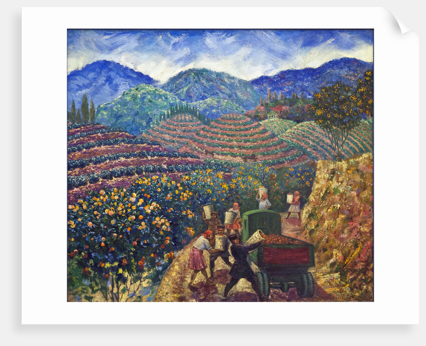 The Harvest in Chakva sovkhoz by Anonymous
