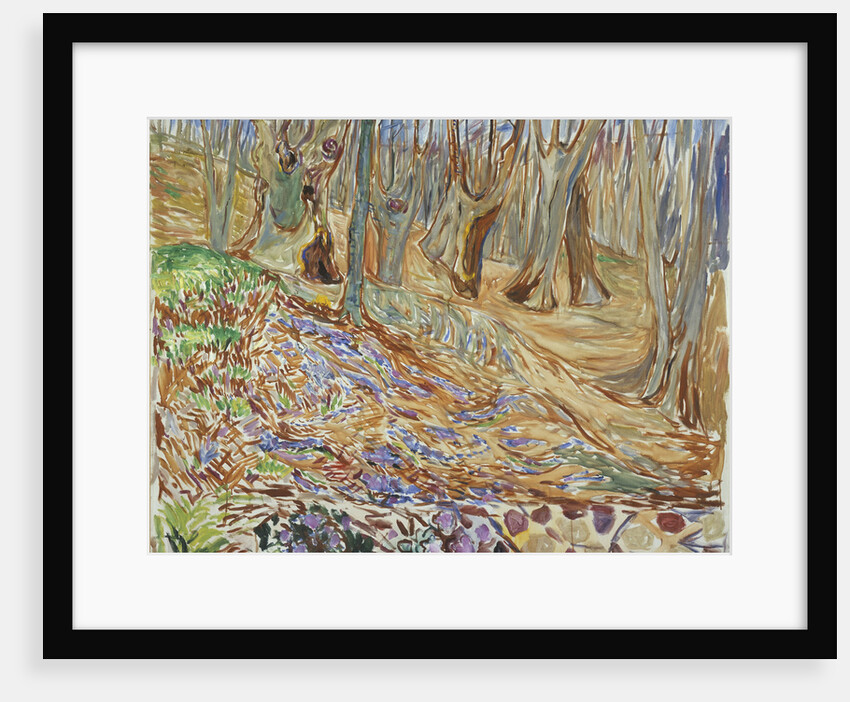 Spring in the Elm Forest by Anonymous