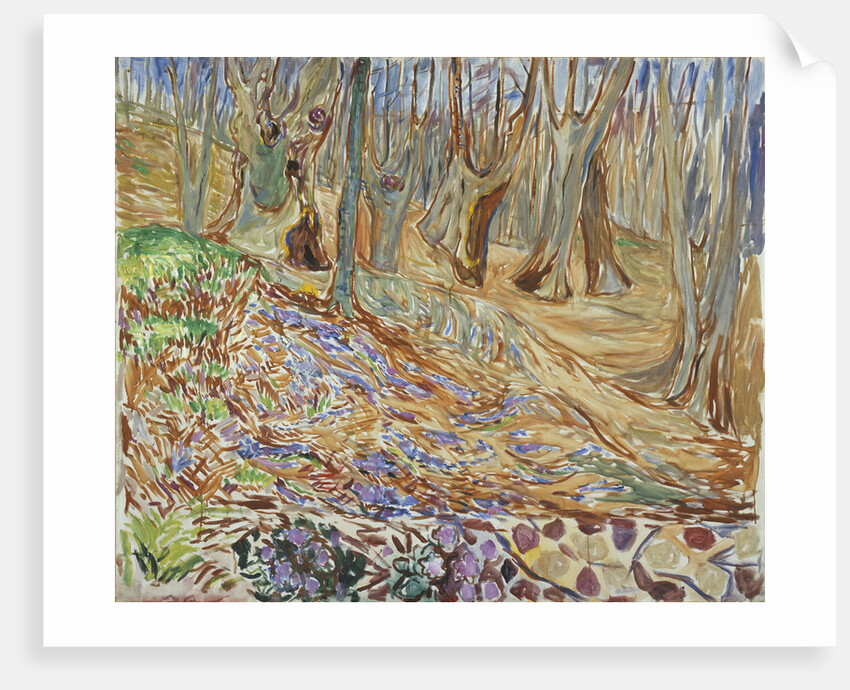 Spring in the Elm Forest by Anonymous