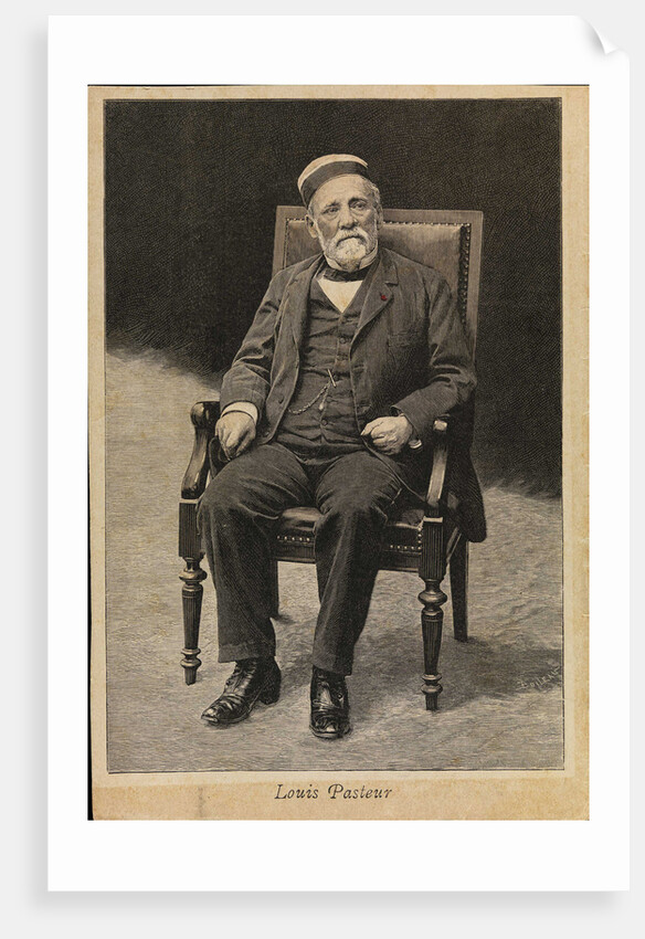 Portrait of Louis Pasteur by Anonymous