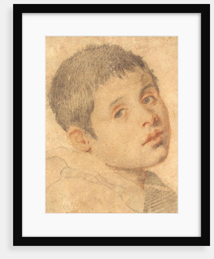Head of a Boy by Anonymous