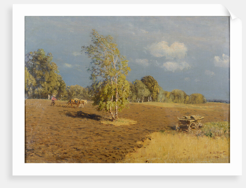 After the storm by Anonymous