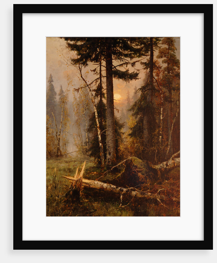 Forest Thicket by Anonymous