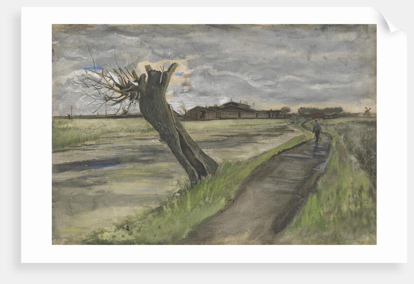 Pollard Willow by Anonymous