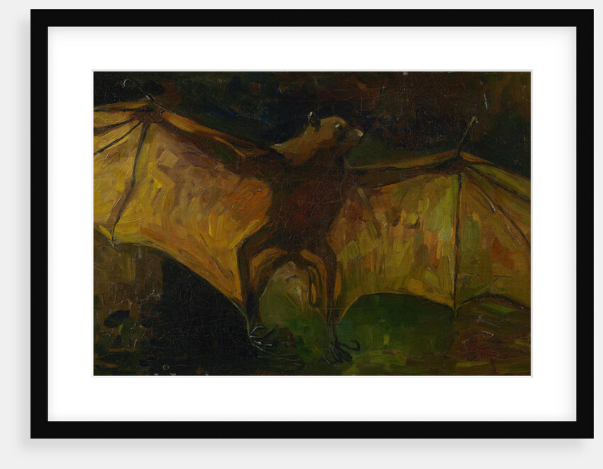 The bat by Anonymous