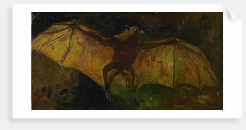 The bat by Anonymous