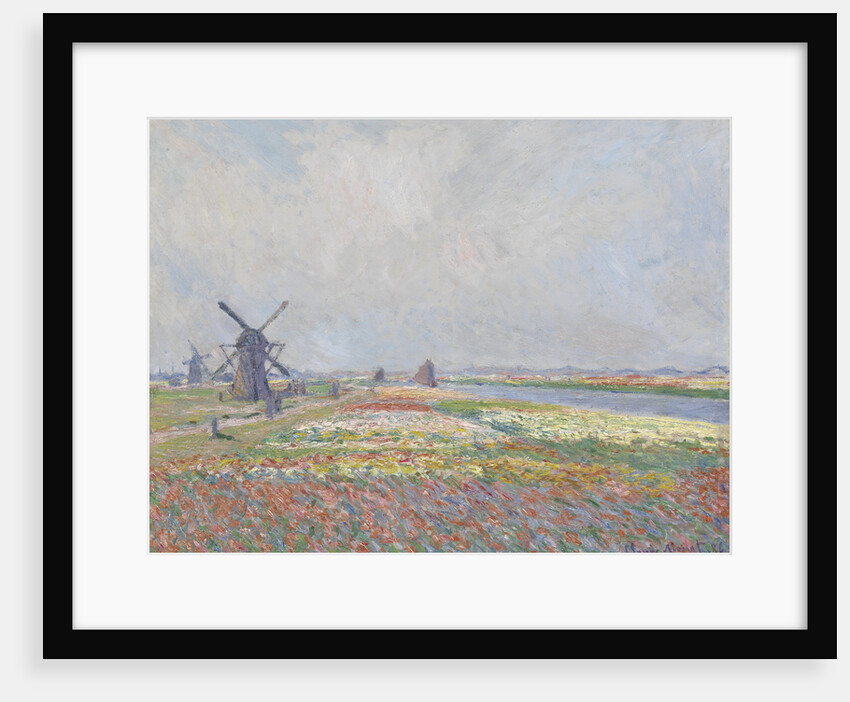 Tulip fields near The Hague by Anonymous