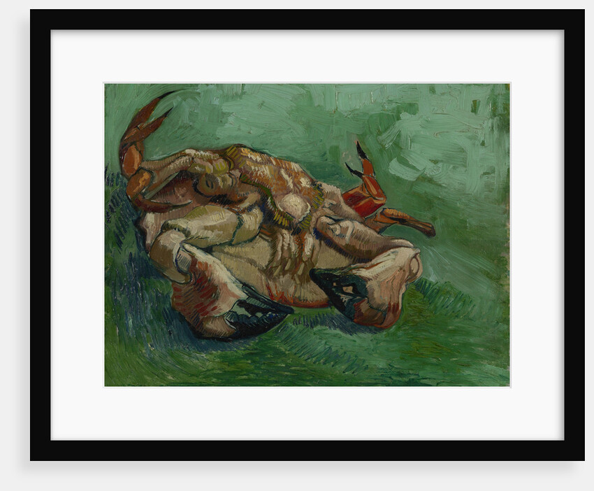 A Crab on its Back by Anonymous