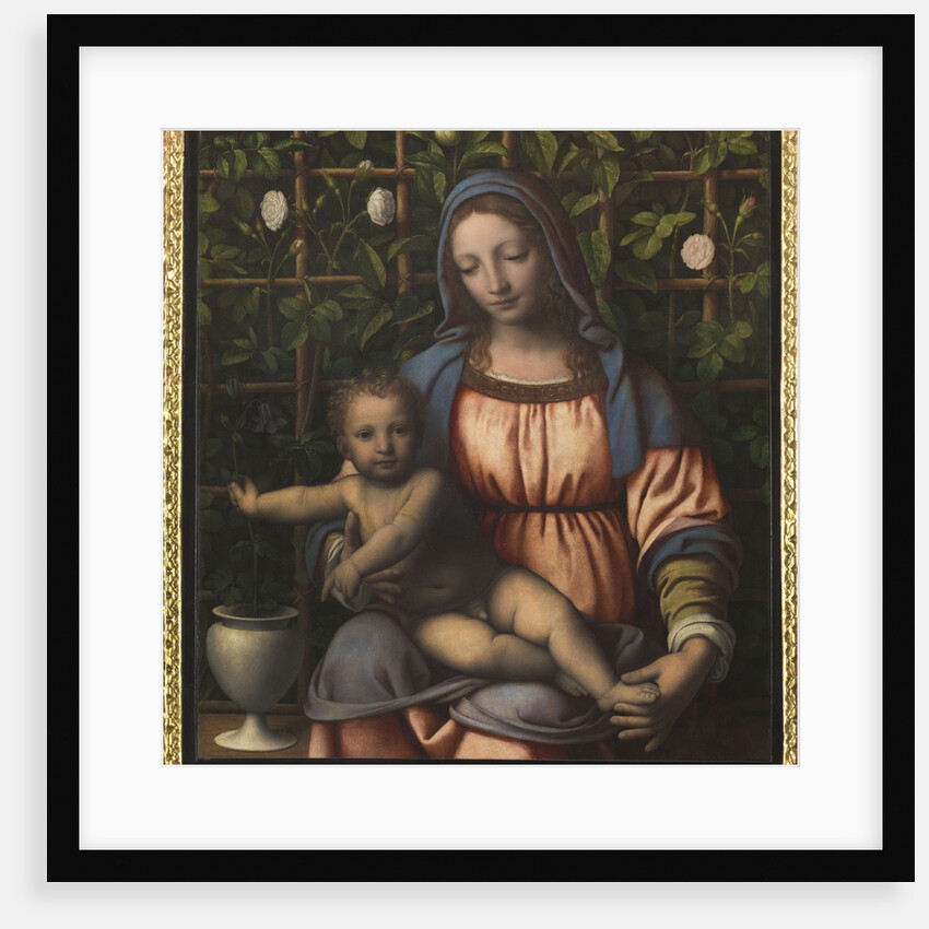 The Madonna of the Rose Garden (Madonna del Roseto) by Anonymous