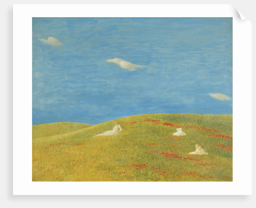 Meadow by Anonymous