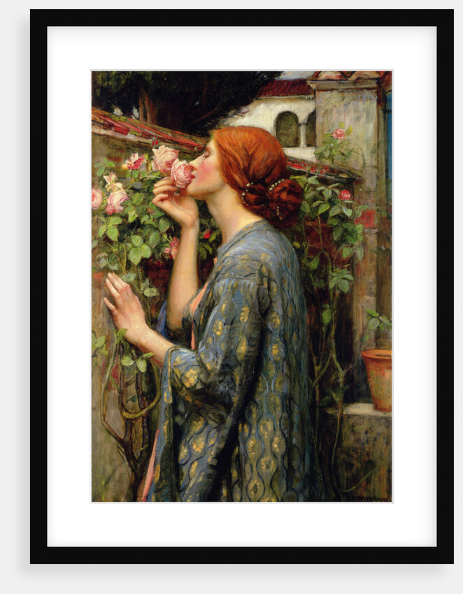 The Soul of the Rose by Anonymous