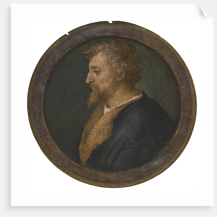 Portrait of Valerio Belli by Anonymous