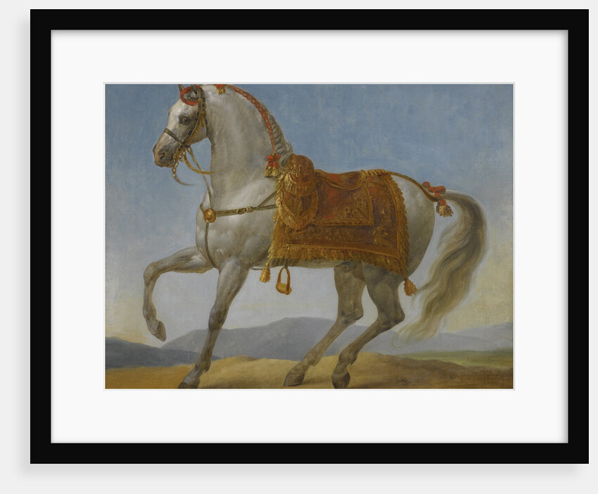 Marengo, the horse of Napoleon I of France by Anonymous