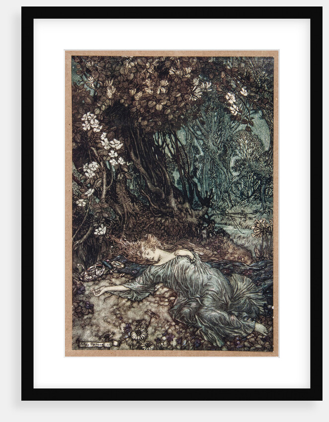 Midsummer Nights Fairies by Anonymous