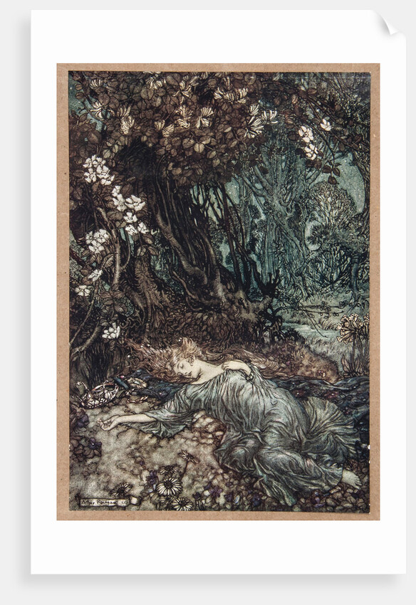 Midsummer Nights Fairies by Anonymous