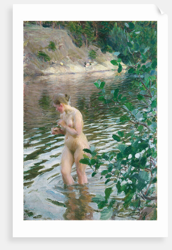 The cold stream by Anonymous