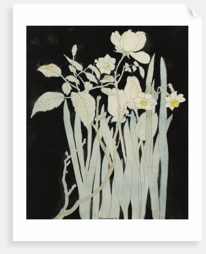 Daffodils And Roses by Anonymous