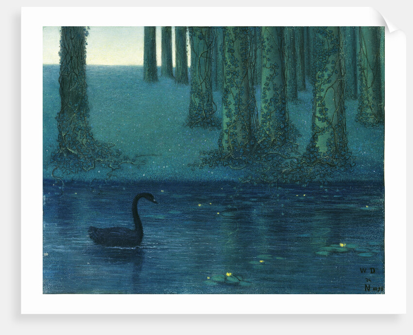 The black swan by Anonymous