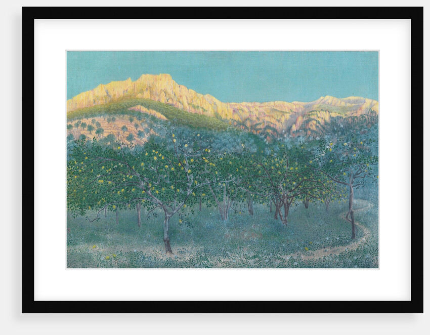 Lemon trees, Mallorca by Anonymous