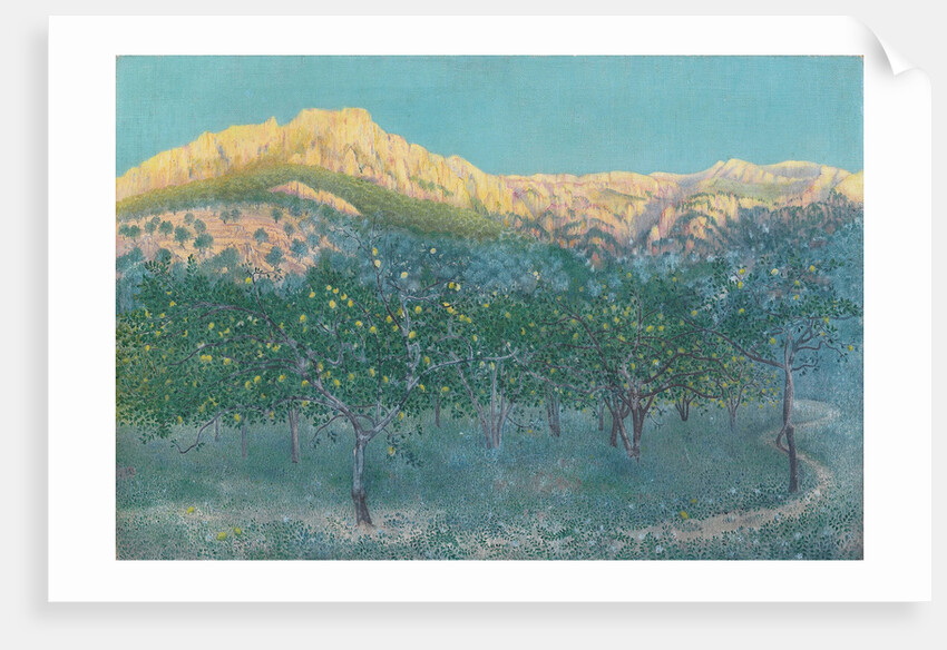 Lemon trees, Mallorca by Anonymous