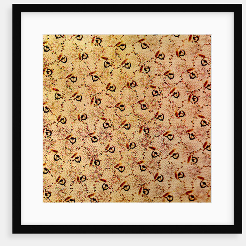 Cotton Print by Anonymous