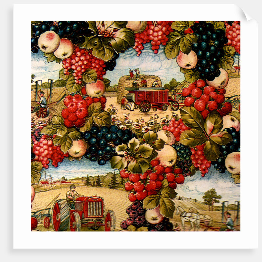 Tractor by Anonymous