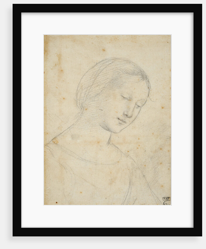 Study of a Woman by Anonymous