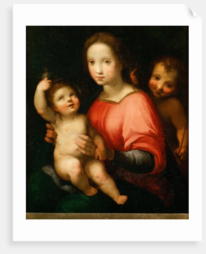 Virgin and child with John the Baptist as a Boy by Anonymous