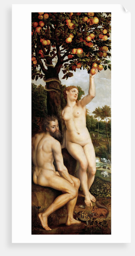 The Fall of Man by Anonymous