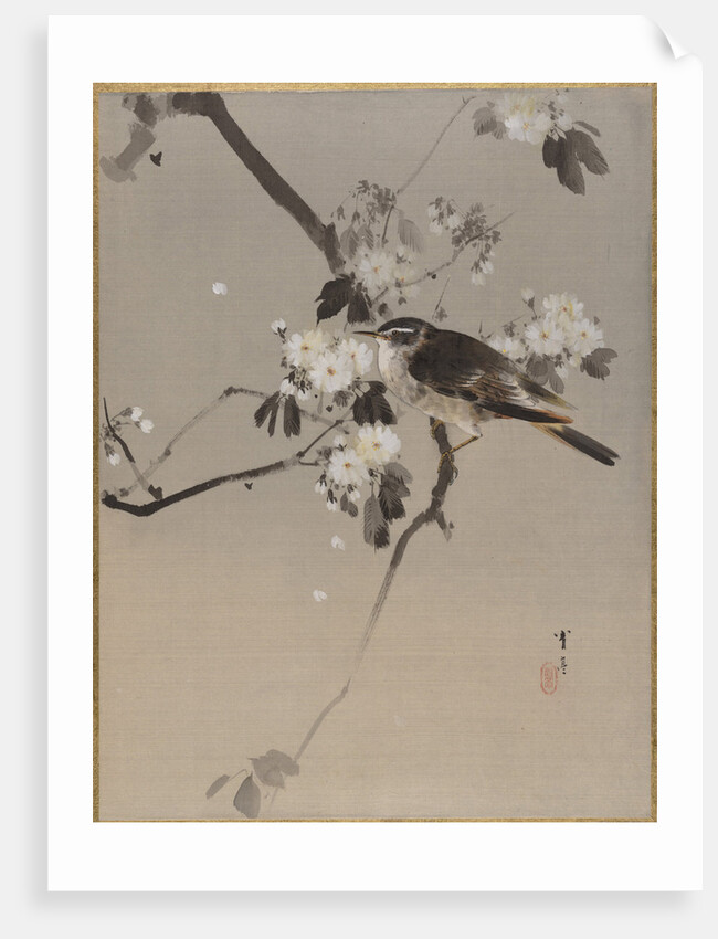 Birds on a Flowering Branch by Anonymous