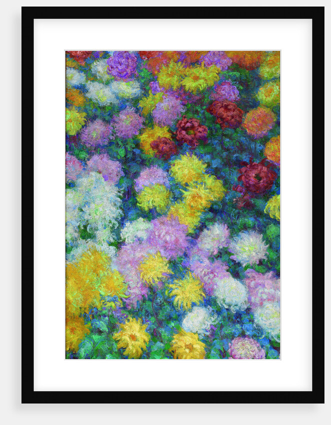 Chrysanthemums, 1897 by Anonymous