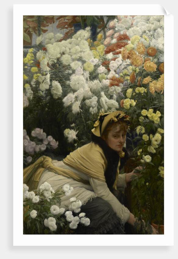 Chrysanthemums, c. 1875 by Anonymous