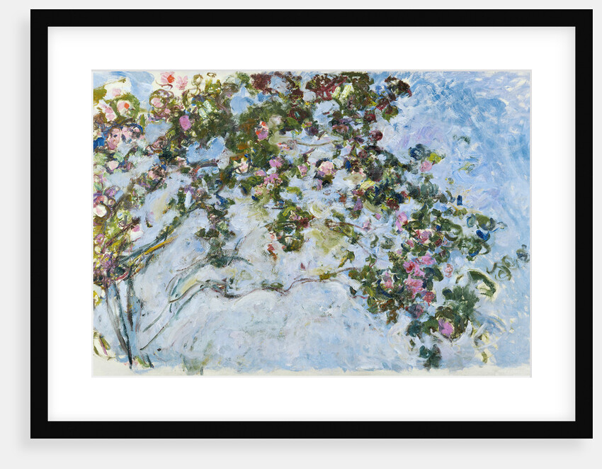 Roses, 1925-1926 by Anonymous