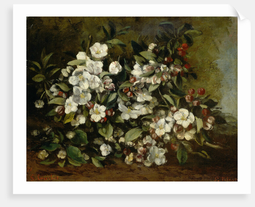 Branche de pommier en fleurs, 1872 by Anonymous