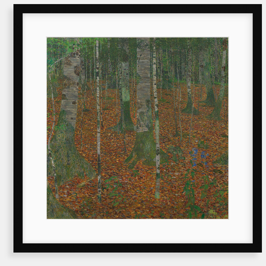 Birch Forest, 1903 by Anonymous