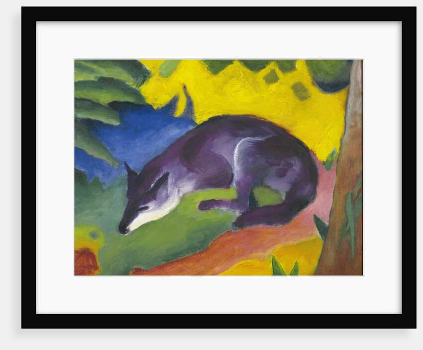 Blue-Black Fox, 1911 by Anonymous