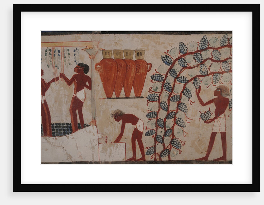 Harvesting grapes and Winemaking. The Tomb of Nakht, ca 1380 BC by Anonymous