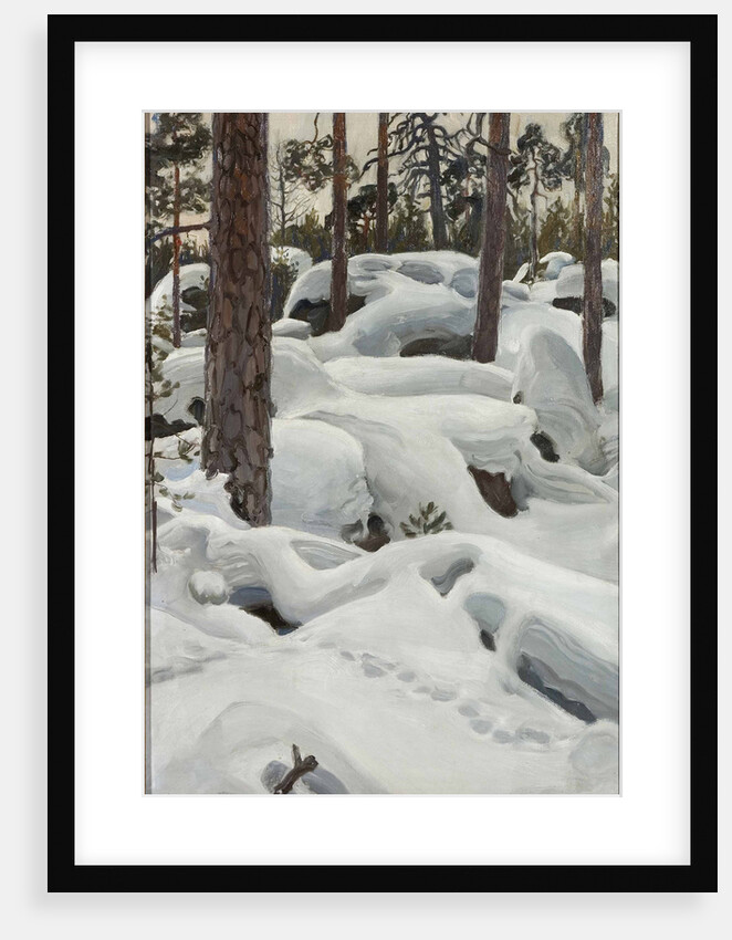 The Lair of the Lynx, 1908 by Anonymous