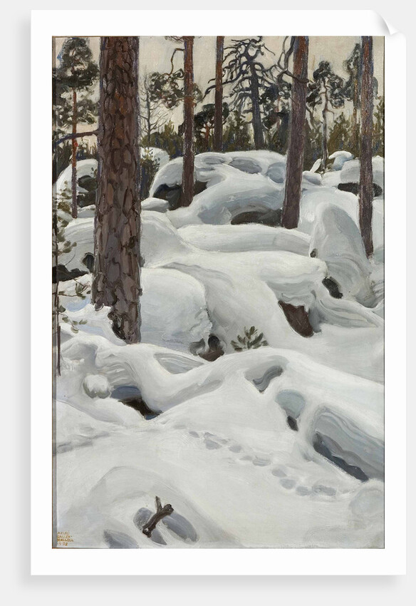 The Lair of the Lynx, 1908 by Anonymous