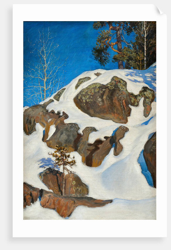 Snow on the cliffs, 1901 by Anonymous