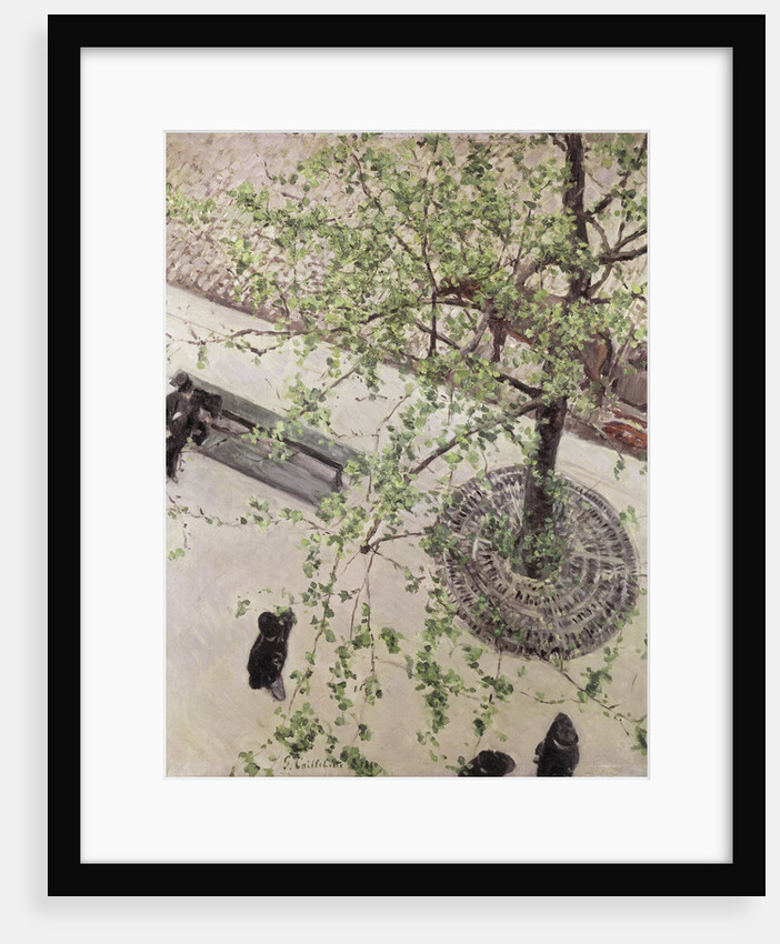 Boulevard Seen from Above, 1880 by Anonymous