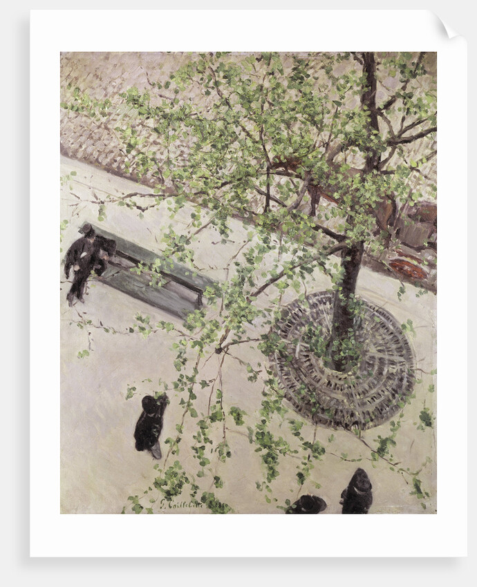 Boulevard Seen from Above, 1880 by Anonymous