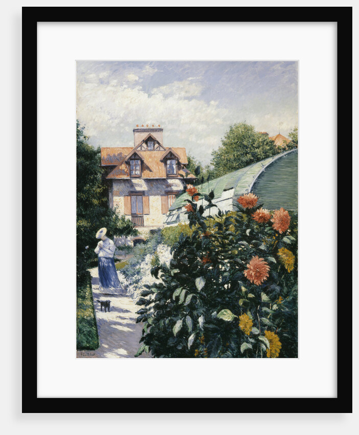 Dahlias, Garden at Petit Gennevilliers, 1893 by Anonymous