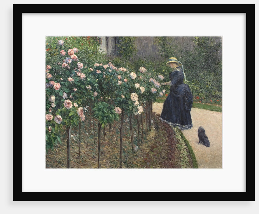 Roses, Garden at Petit Gennevilliers, 1886 by Anonymous