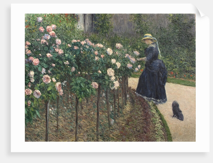 Roses, Garden at Petit Gennevilliers, 1886 by Anonymous