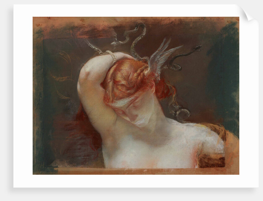 Head of Gorgon, 1895 by Anonymous