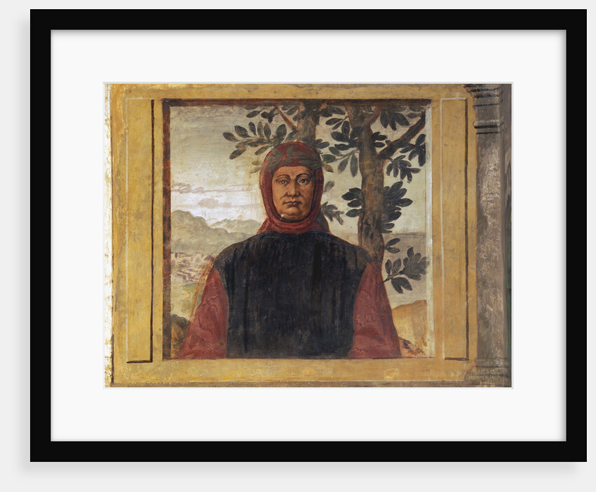 Francesco Petrarca by Anonymous