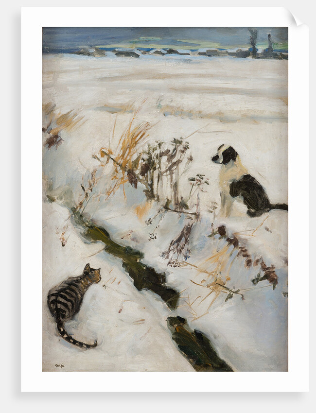 Cat and Dog by Anonymous