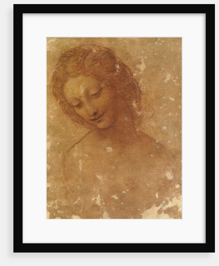 Head of Leda, c. 1510 by Anonymous